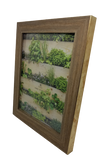 SALE! Gold-Trimmed Wood Box Frame
